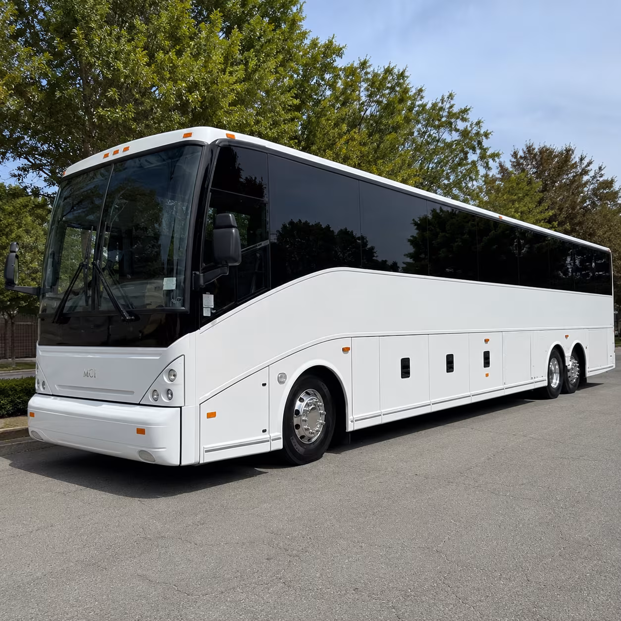 tarpon springs charter bus