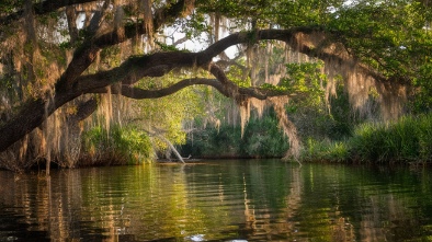 largo central park nature preserve