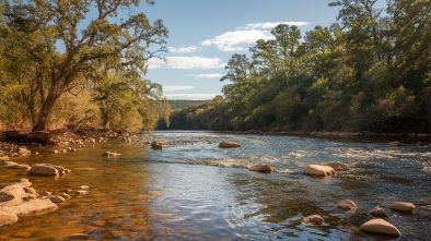 myakka river state park