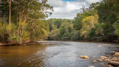 weeki wachee river